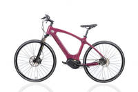 Galex Bike - The Purple